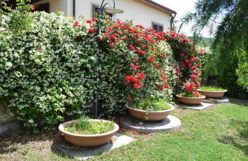 Agriturismo La Ghiraia - Foto 26