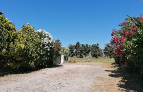 A 500m de la plage - Foto 12