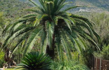 Villa Capllonch - Foto 10