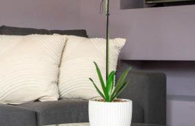 Pinkerton House - Photo 9