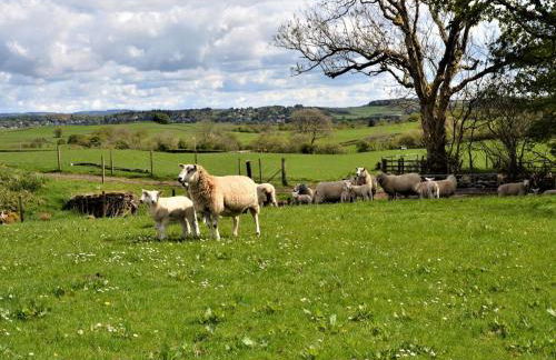 2 Bed in Kilmacolm oc-55854 - Foto 20