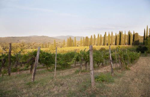 Tenuta Lupinari - Foto 74