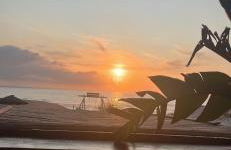 Casa da Mata - Foto 3