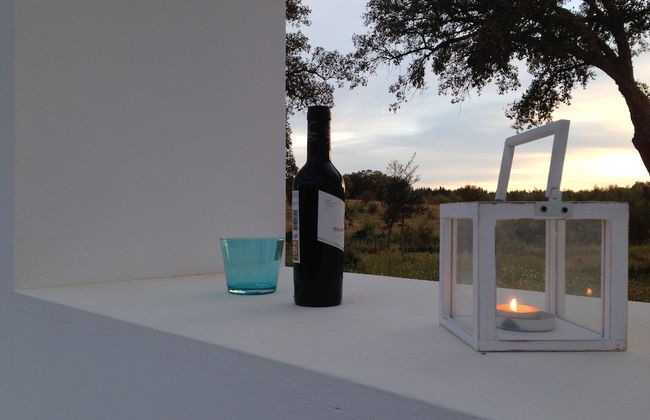 Tons da Terra - Foto 42