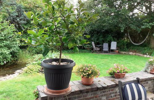 Kaszubiana direkt in der Natur - Photo 56