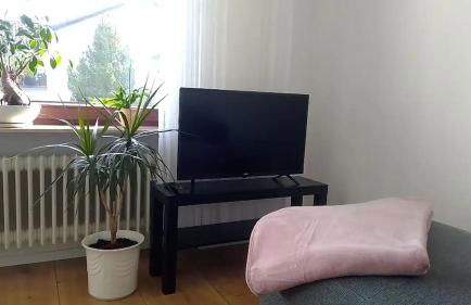 Ankommen und Wohlfühlen - Foto 4