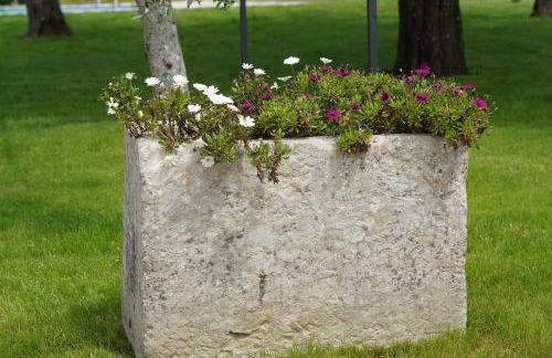 Gli Ulivi di Gino - Foto 69