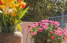 ElleCi Casa Vacanze - Photo 68