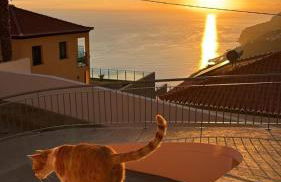 Beautiful View 1 - Arco da Calheta - Ilha da Madeira - Foto 1