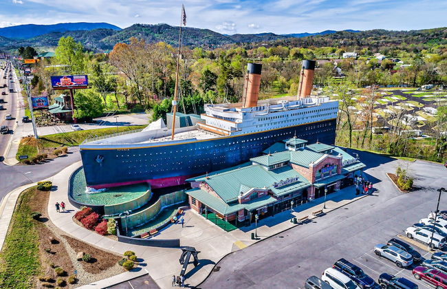 Bearly Gnomey - Foto 26