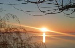 menidistudios - Foto 14