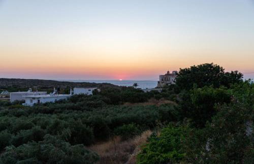 Thea Studio - Foto 15