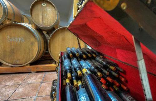 Wine house Marlais - Foto 24