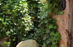 Ferienwohnungen _ Haus Lisa_ - Foto 14