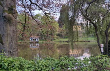 Ferienhaus Landblick - Foto 30