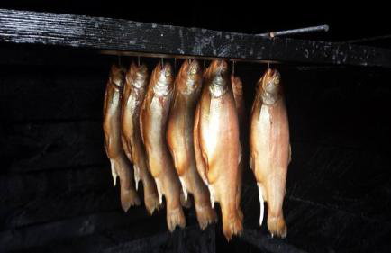 Przystań Piława - Foto 66