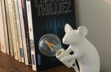 Nid douillet avec vue - Photo 6