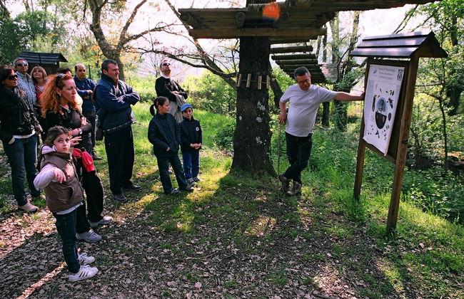 Bio Agriturismo La Cerqua - Foto 85