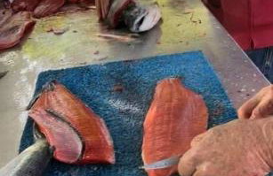 Kenai Living Waters - Fishing Paradise - Foto 17