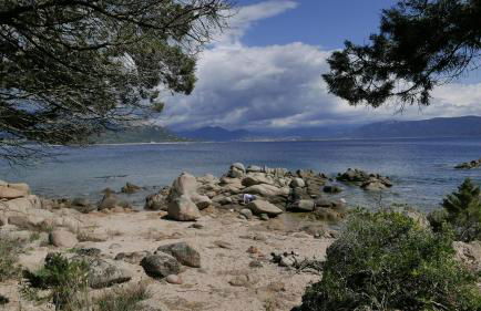 Les Figuiers - Foto 14