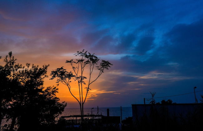 Alfa Est Bilo sul Mare - Foto 20