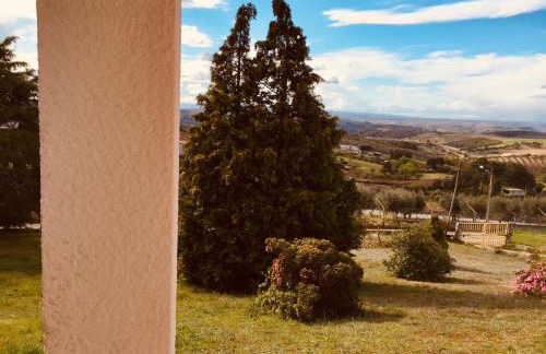 Casa de Pereiras, Vimioso - Foto 6