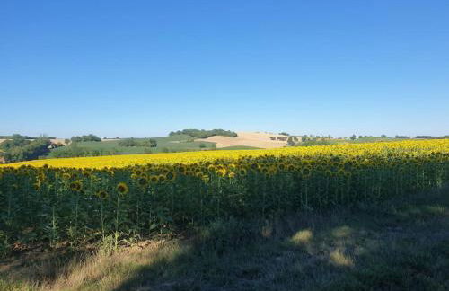 En Françaison Gîte en Lomagne Gersoise - Photo 35