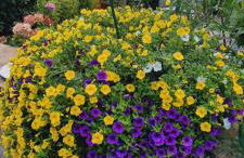 Ferienwohnung Otschik - Foto 39