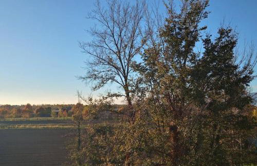 casa MEV è un attico in centro a Fiume Veneto - Photo 36