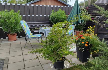 Ferienwohnung Schaarschmidt - Foto 10