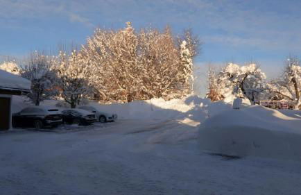 Allgäuer Bergblick - Foto 19
