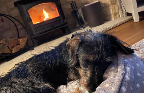 Cosy Cotswold Lodge by Your Home Here - ideal for families, log-burner, spa, private parking, EV Hookup included and heated swimming pools - Foto 48