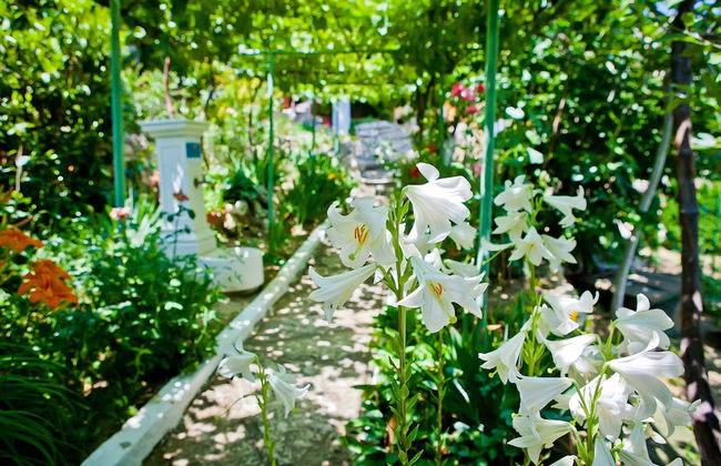 Villa Sequoia - Foto 47