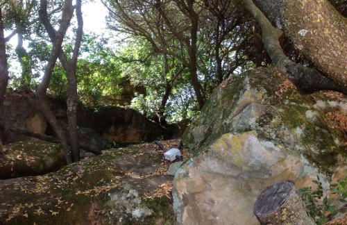 Agriturismo Il Paradiso - Foto 64