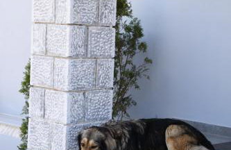 La Familia Luxury Private Maisonettes near the sea - Foto 27