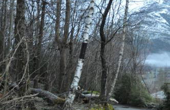 Residencial Valle de Benasque - Foto 22