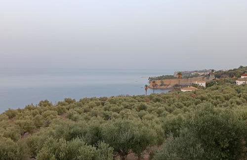 Tritsili house - Photo 57