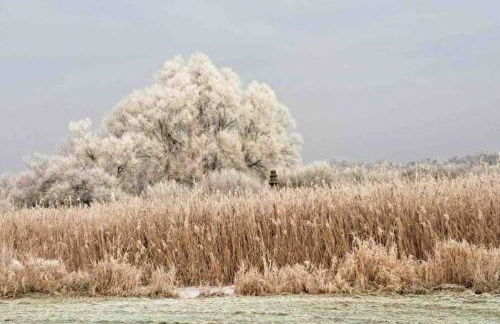 Haus an Fluss und See - Foto 17