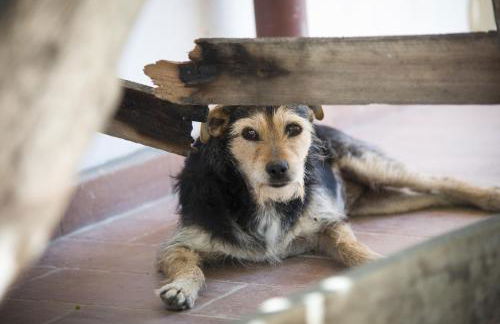 Agriturismo L'isola - Foto 41