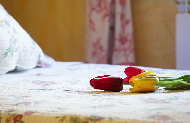 Beautiful Alamedas - Foto 7