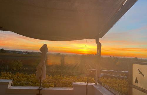 Ferienwohnung Rebenmeer - Foto 14