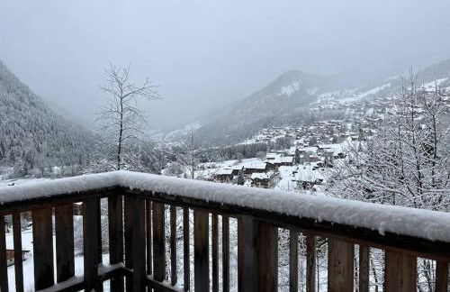 Loges Blanches - APT B404 -BO Immobilier - Châtel - Reduced prices on ski passes Châtel & Portes du Soleil - Foto 16