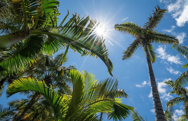 Hacienda San Jorge - Foto 73