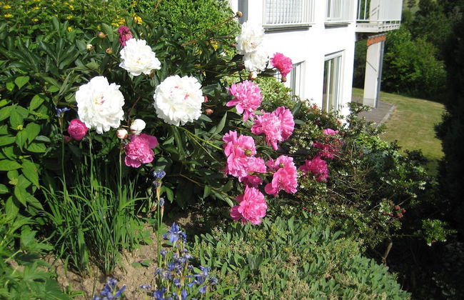 Eifel Escape: Cozy & Scenic - Photo 22