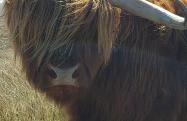 Pleasant Point Holiday Cottages - Foto 20