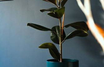 Cocon clermontois - Moderne et cosy - Foto 15