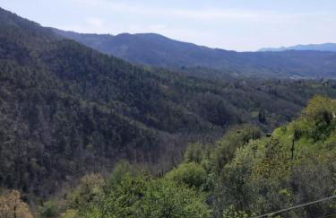 IL NIDO VERDE - Photo 27