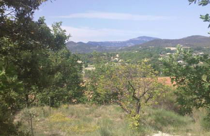 L'Aubépine - Foto 11