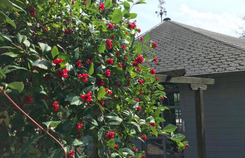 Dworek Tradycja - Foto 23