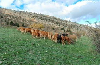 Apartamentos de Turismo Rural La Rocha - Foto 28